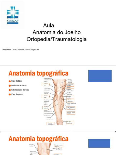 Anatomia Do Joelho R1a Pdf Joelho Anatomia