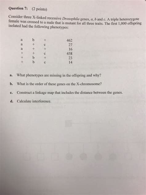 Solved Consider three X-linked recessive Drosophila genes, | Chegg.com