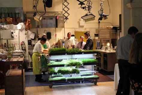 Bouley Botanical, Green Up, and Urban Cultivator Love Sustainable Urban