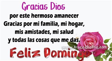 Frases Pensamientos Y Todo Tipo De Rosas Gracias Dios