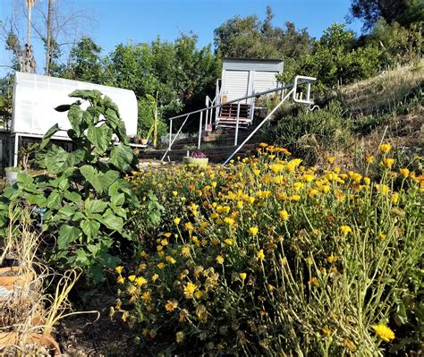 Frogtown Urban Herb Farm | Los Angeles CA