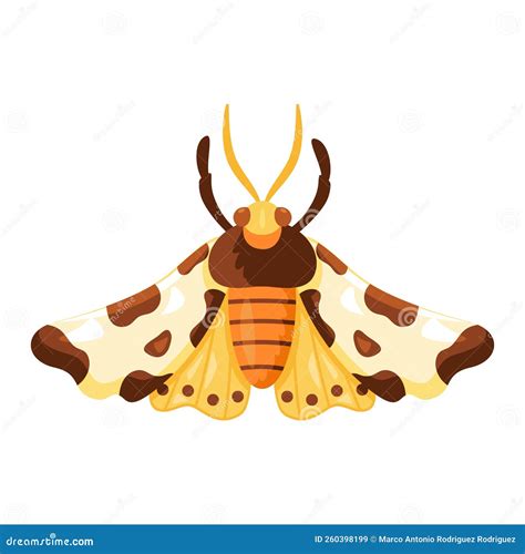 Isolated Colored Moth Icon With Details Vector Stock Vector
