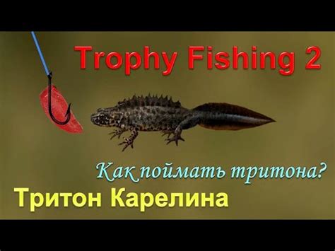 Тритон Карелина, ловля тритонов, в игре, Трофейная рыбалка 2 - YouTube