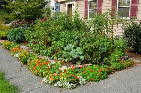 Create Vegetable Garden In Your Front Yard | Vegetable garden, Garden, Yard