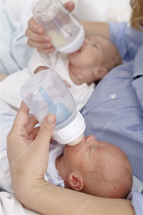 Mother Feeding Two Week Old Twins Stock Image F Science