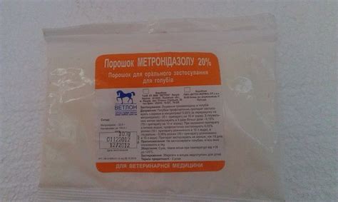 Метронидазол Для Кошек – Telegraph