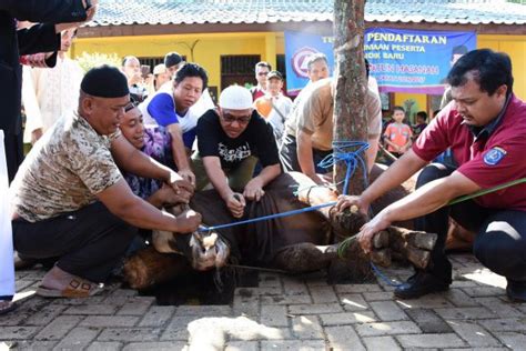 Inilah Beberapa Hukum Tentang Penyembelihan Hewan Kurban BersamaDakwah