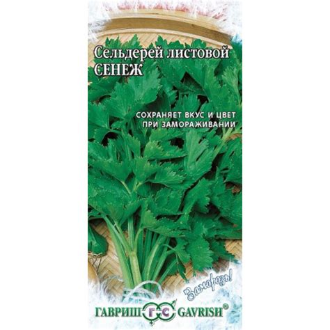 Сельдерей листовой Сенеж Гавриш Гавриш купить от 35 рублей в Санкт ...