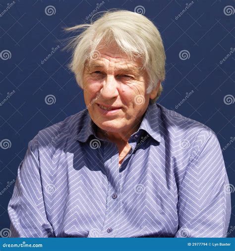 Mature Male Stock Photo Image Of Executive Bossy Mature 2977794