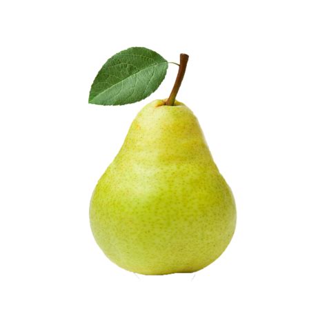 Pear Anjou