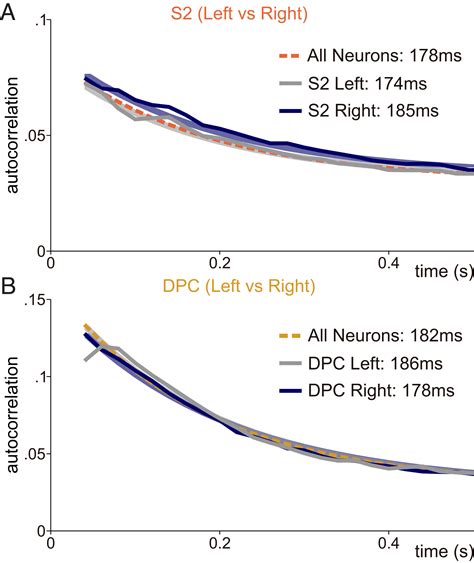 Invariant Timescale Hierarchy Across The Cortical Somatosensory Network