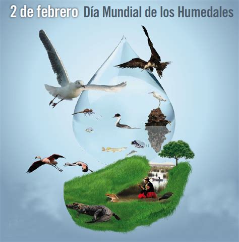 Día Mundial De Los Humedales ~ Parquesymuseos ~