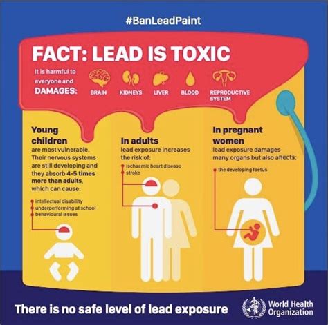 Infographic Lead Poisoning Prevention 2019 Pahowho Pan American