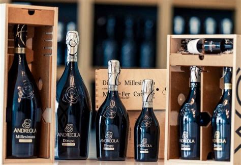 Le nostre selezioni: Prosecchi Valdobbiadene Docg Andreola | Al Gel S.r.l.