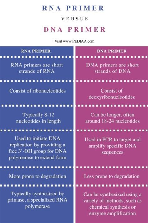 What is the Difference Between RNA Primer and DNA Primer - Pediaa.Com
