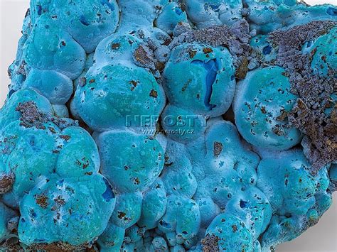 CHRYZOKOL #14439 | Nerosty.cz