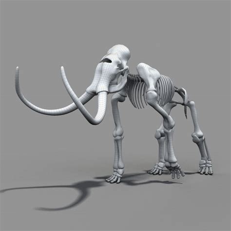 mammoth skeleton bone max