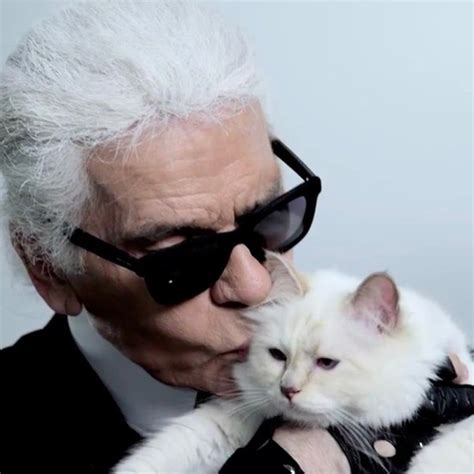 Karl Lagerfeld : l’hommage de son chat Choupette à son maître disparu ...