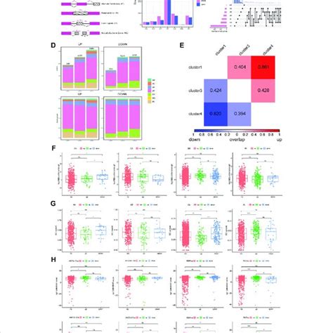 Analysis Of Differential Alternative Splicing Events Between Subtypes Download Scientific