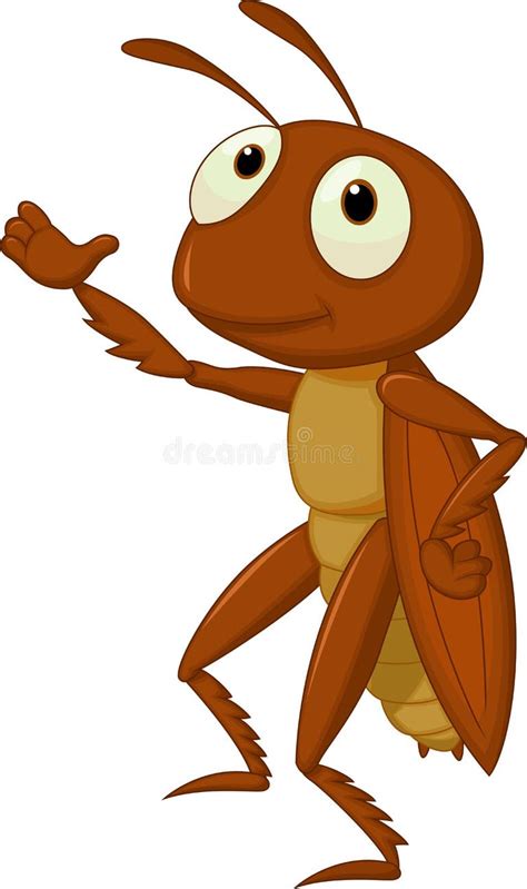cricket stock illustrations  cricket stock illustrations