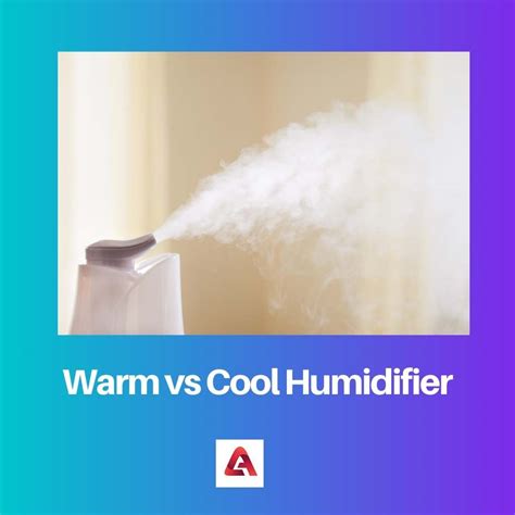 Warm Vs Cool Humidifier Difference And Comparison