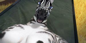 Furry Zahira Gets Two Dicks In Her Ass And Swallow Cum Tnaflix