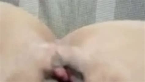 Free Cougar MILF Pussy Porn Videos 69 XHamster