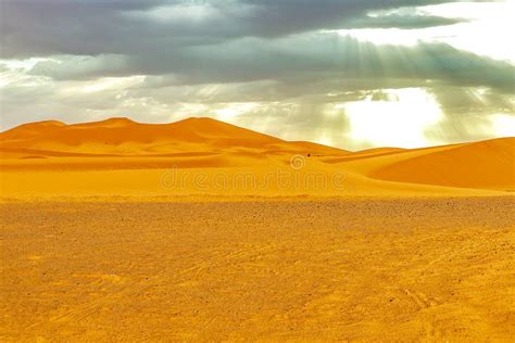 Dunas De Areia Bonitas Em Sahara Desert Foto De Stock Imagem De