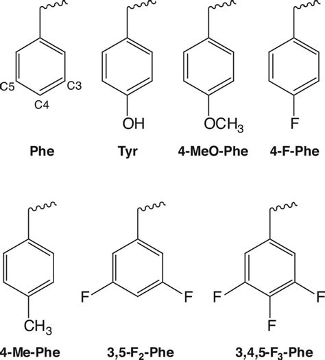 Structures Of The Natural And Unnatural Amino Acids Used In This Study