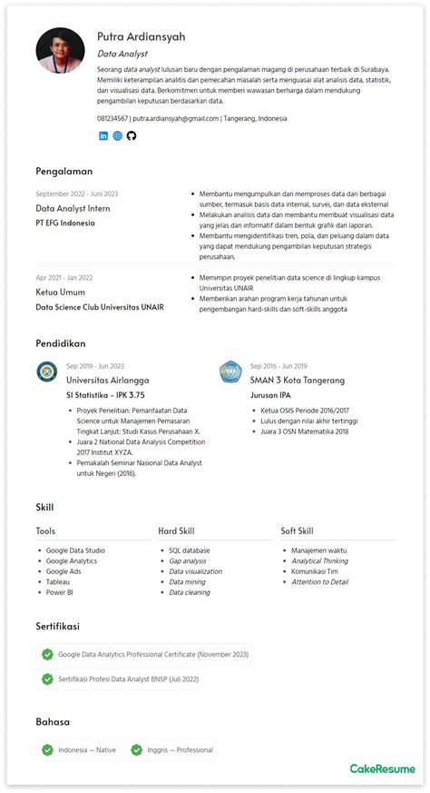 Contoh Cv Data Analyst Profesional Yang Dilirik Hrd Cakeresume