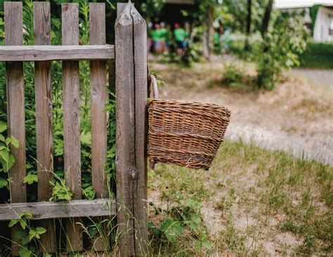 cerca mas cerca mi devocional