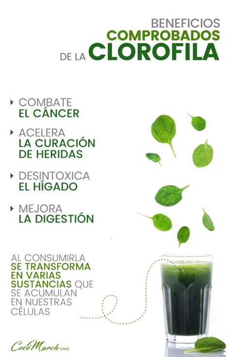 La VitaTienda De La Dra Cocó March Healthy herbs Healthy juices Herbs