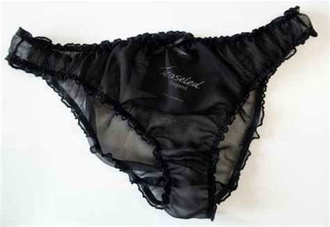 Sheer Chiffon See Through Bikini Briefs Knickers Panties Lingerie Black EBay