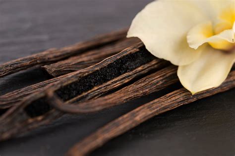 Bio-Vanilleextrakt für ein wohltuendes Dufterlebnis