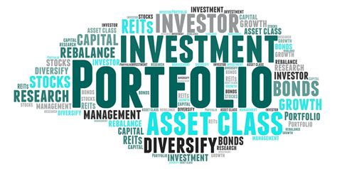 build  professional portfolio advice   founder