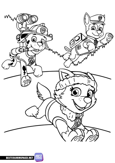 PAW Patrol coloring page for kids to print - Free printable coloring pages