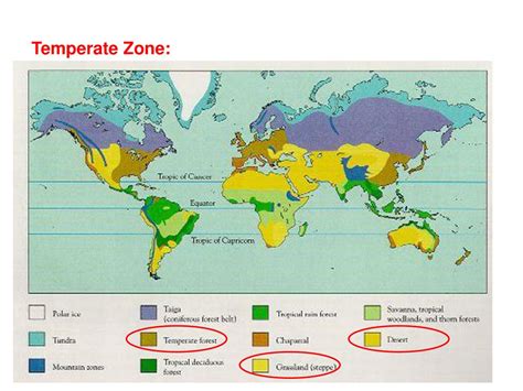Biomes Classifications Of Ecosystems Based On Climate And Dominant