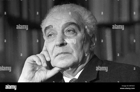 Виноградов Картинки – Telegraph