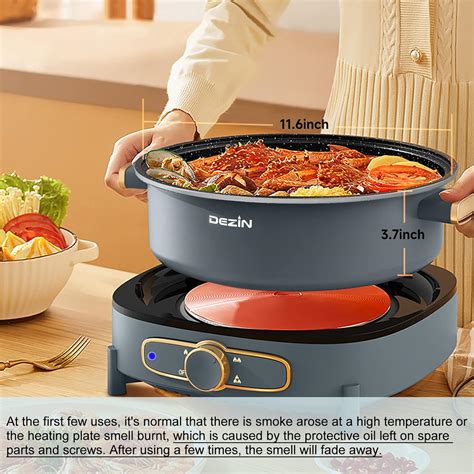 Buy Dezin Electric Shabu Shabu Hot Pot With Removable Pot L Electric Non Stick Hot Pot With