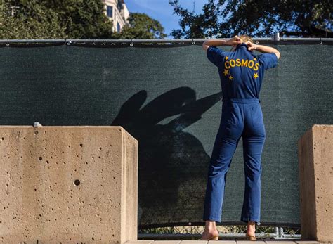 cosmos investment piece