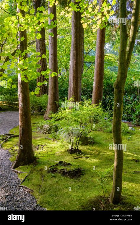 Nitobe Memorial Garden A Traditional Japanese Garden Ubc Vancouver