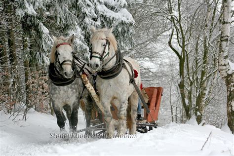 Horse Drawn Sleigh Ride Christmas, Snow, Horses, Winter DIY Cross ...