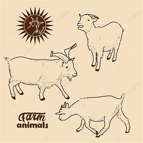 Set Of Images Of Goats Outline Hoof Set Vector Outline Hoof Set Png
