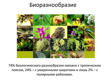 Биоразнообразие - online presentation