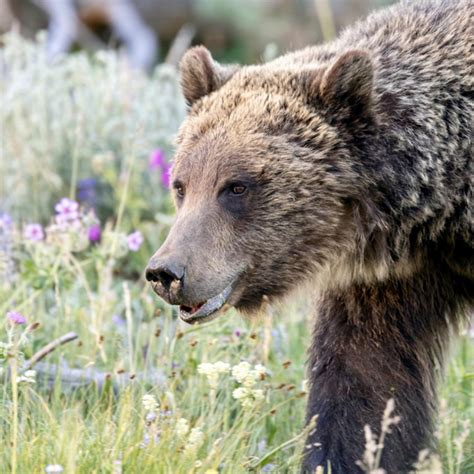 Skyrocketing power demand from data... - Cowboy State Daily | Facebook