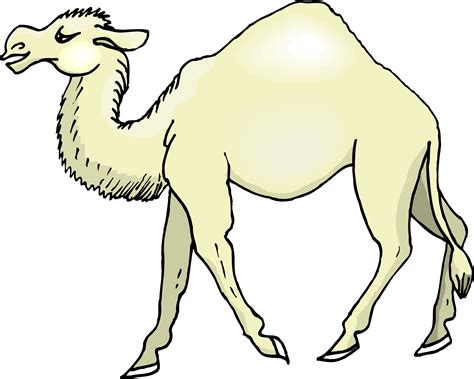 Camel Cartoon Drawing For Kids How To Draw A Landscape For Kids With