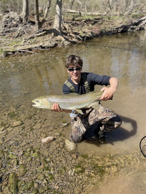 Best Nymph Images On Pholder Flyfishing Fairytaleas Fuck And Art