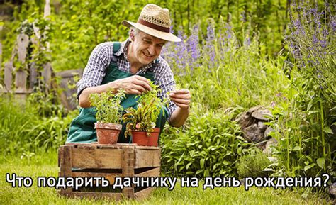 что подарить людям на дачу