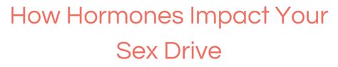 How Hormones Impact Your Sex Drive Vergo Woman
