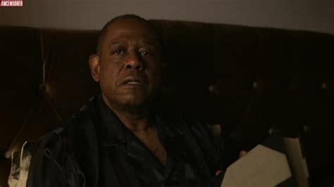 Ilfenesh Hadera Nude Pictures Onlyfans Leaks Playboy Photos Sex Scene Uncensored